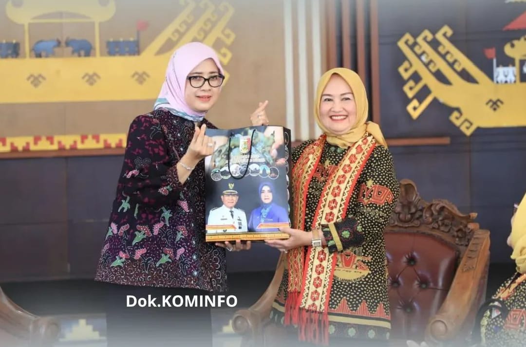 Ketua Tim Penggerak PKK Kabupaten Tulang Bawang Terima Audiensi DPP Mighrul Lampung Bersatu