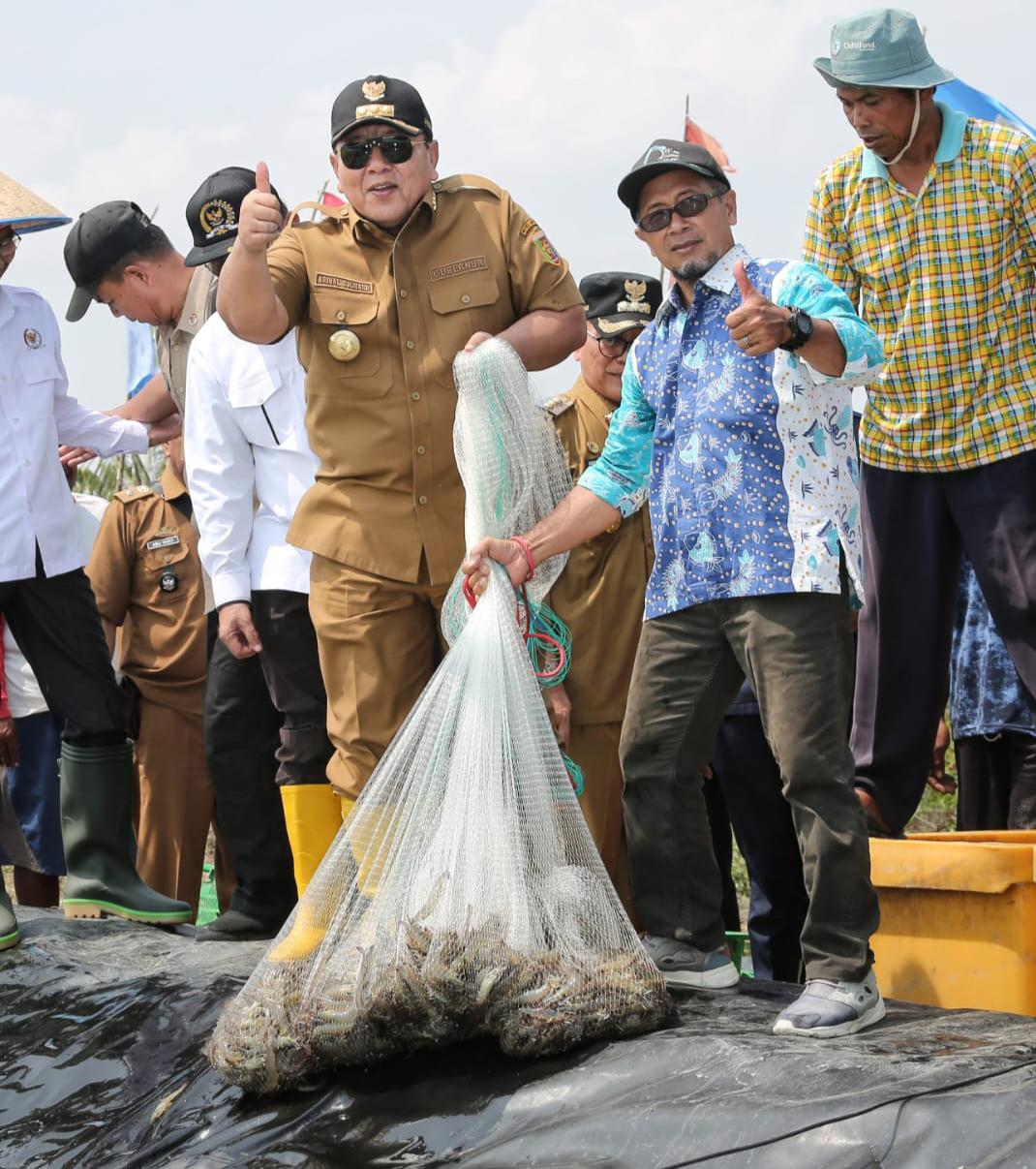 Gubernur Arinal Dorong Pertambakan Udang di Lampung  Bangkit Dan Berjaya Kembali