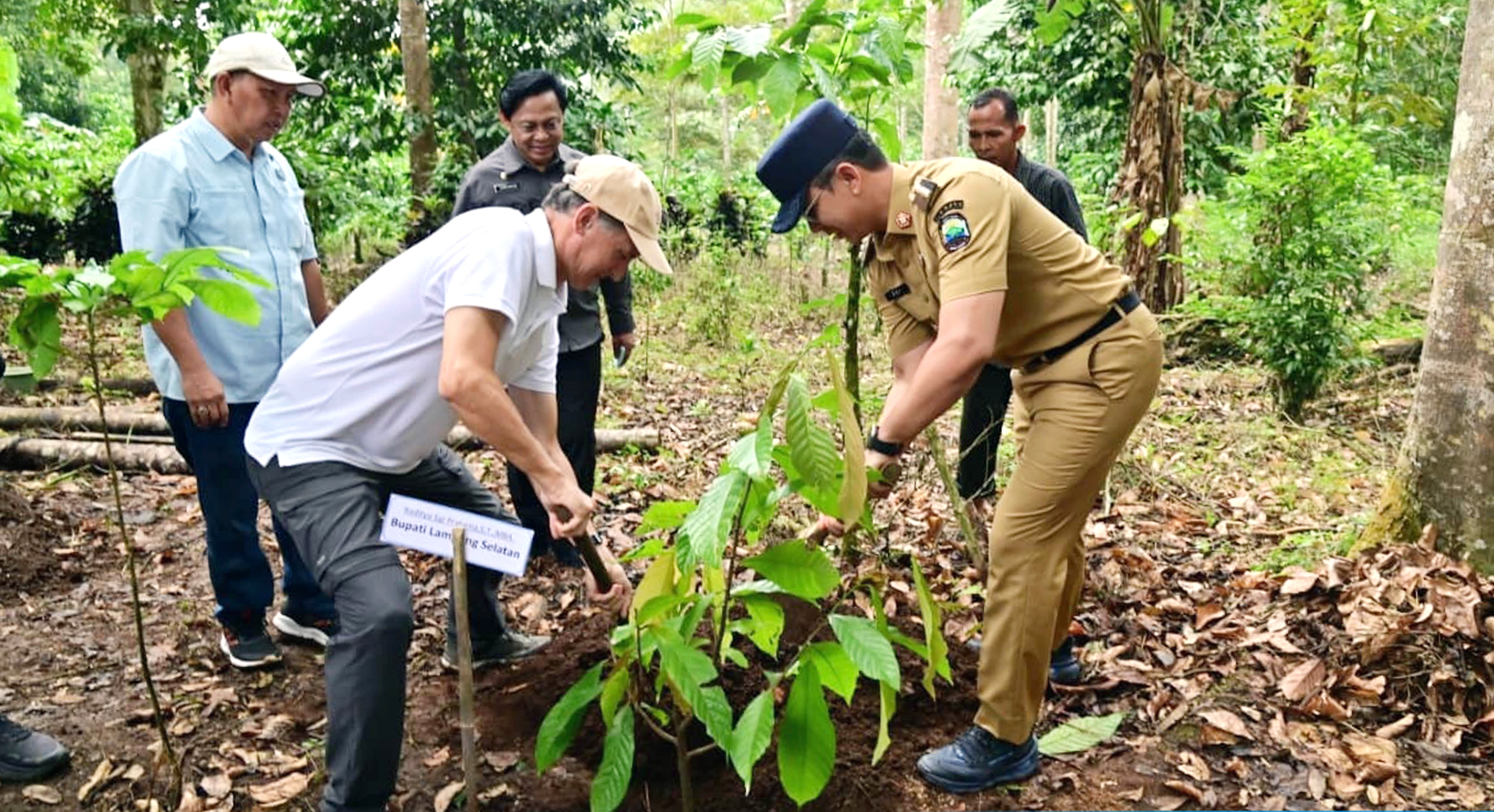 Gunung Rajabasa Dijaga, Kesejahteraan Petani Diperkuat lewat Program Pangan Berbasis Hutan