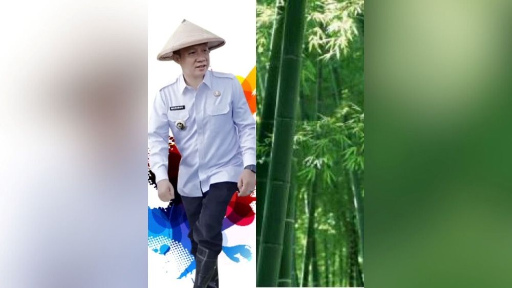 Surat Edaran Bupati: Warga Pringsewu Diminta Tanam Bambu