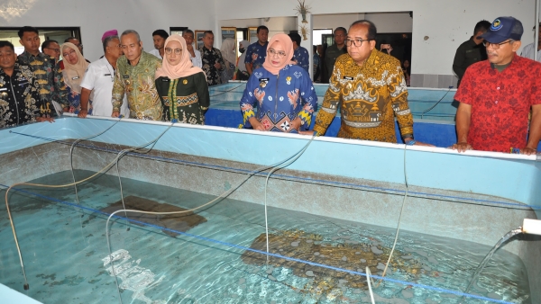Lampung Perangi Penyelundupan BBL, Jaga Kelestarian Laut
