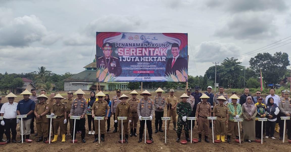 Mesuji Luncurkan Program Penanaman Jagung 1 Juta Hektar, Dorong Ketahanan Pangan Nasional