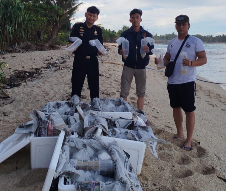 Dua Tersangka Baru Ditangkap dalam Kasus Penyelundupan BBL di Pesisir Barat