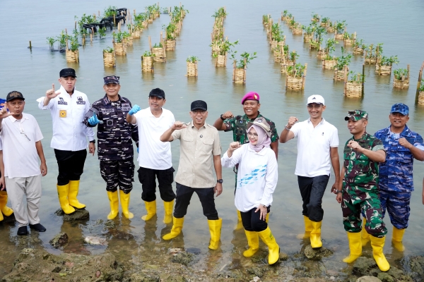 Gubernur Lampung Tanam Mangrove dan Tinjau Inovasi Appostrap di Pesawaran