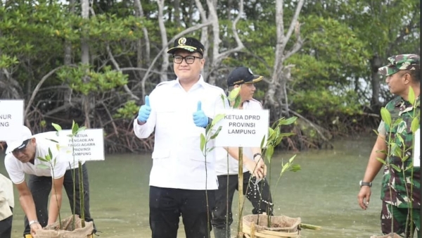 Ketua DPRD Lampung Ikuti Aksi Tanam Mangrove di Pesawaran, Dorong Komitmen Bersama Selamatkan Pesisir