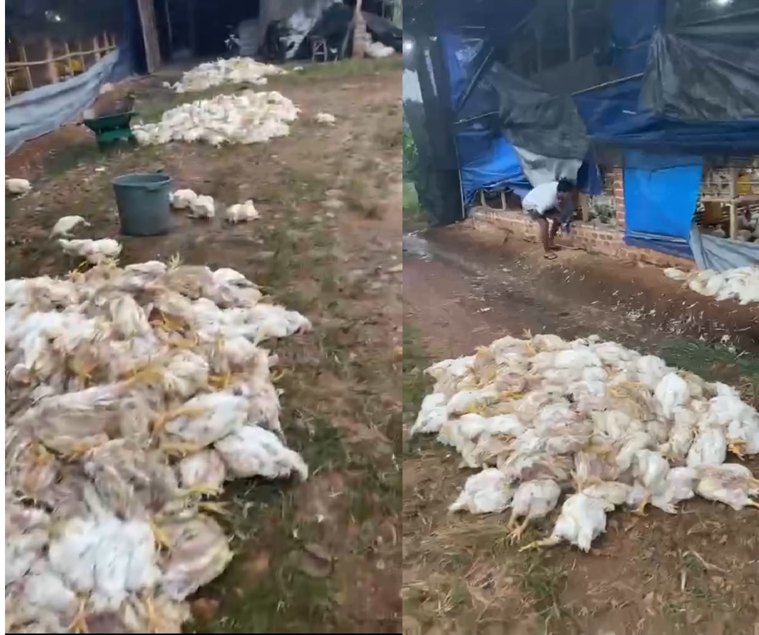 Listrik Padam, UMKM di Lampung Rugi Ratusan Miliar