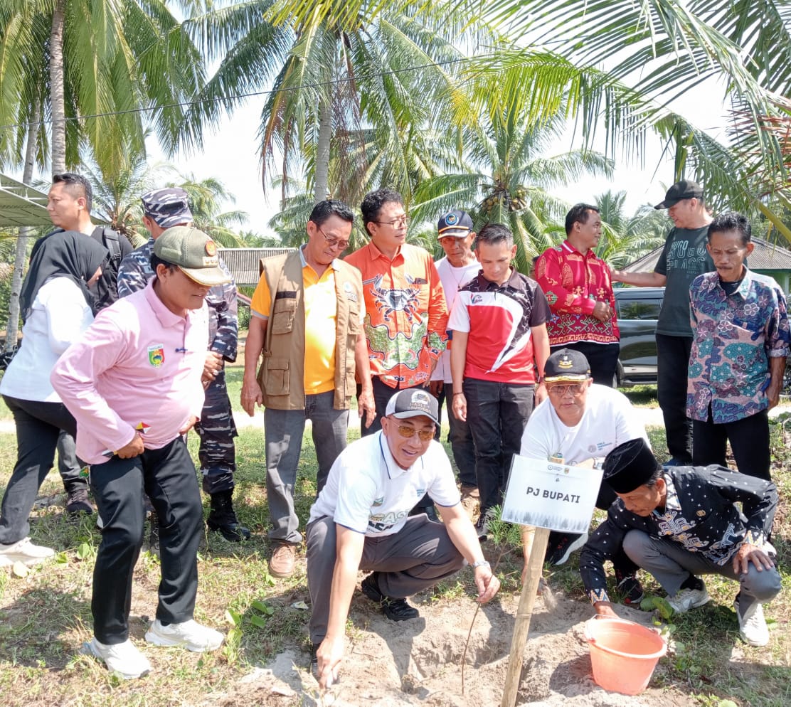 Cegah Abrasi, Kabupaten Tanggamus Tanam Ribuan Pohon Cemara