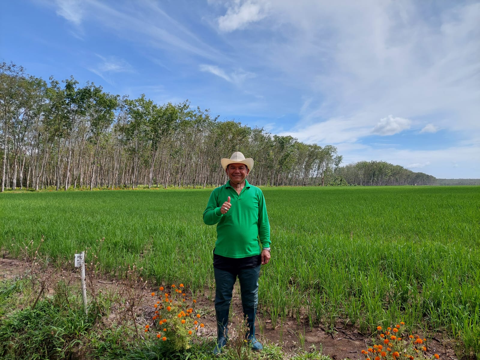 Transformasi Bulog: Dari Impor ke Swasembada Beras Melalui Industri Padi Modern